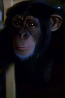 Tarzan and the Curse of Death