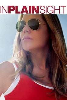 In Plain Sight poster