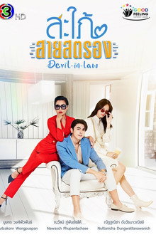 Devil In Law poster
