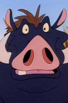 Sense and Senegambia