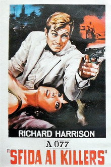 Killers Are Challenged poster