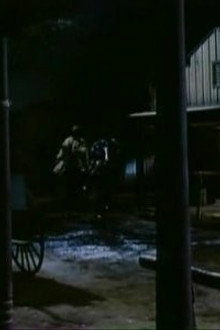 The Night Riders