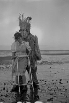 The Sun Came Dripping a Bucket Full of Gold poster