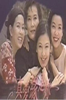 真爱缘是你 poster