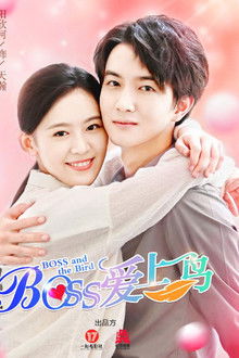 Boss and the Bird poster