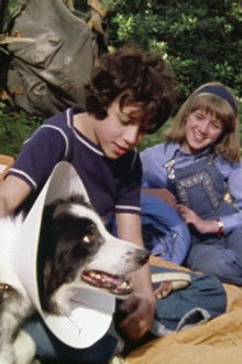 Five on a Secret Trail