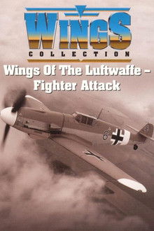 Wings of the Luftwaffe poster
