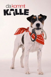 Here Comes Kalle poster