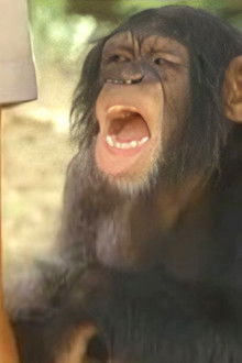 Tarzan and the Polluted River