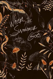 Where the Summer Goes (Chapters on Youth) poster
