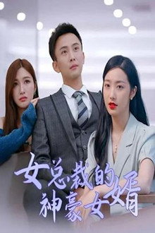 女总裁的神豪女婿 poster