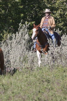 Keeping Up Appearances