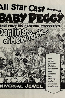 The Darling of New York poster