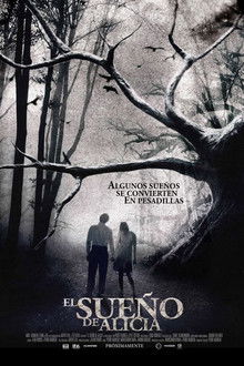 Alicia's Dream poster