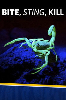 Bite, Sting, Kill poster