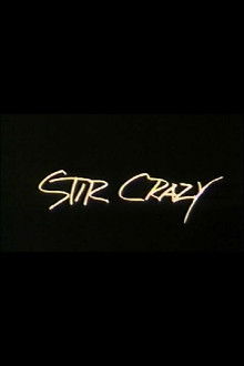 Stir Crazy poster