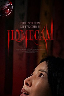 Homecam poster