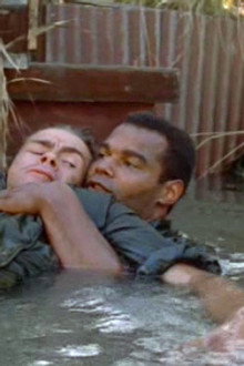 Brothers in Arms