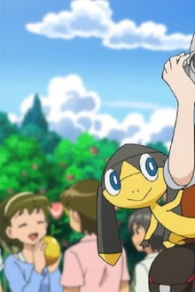 The Journalist from Another Region!