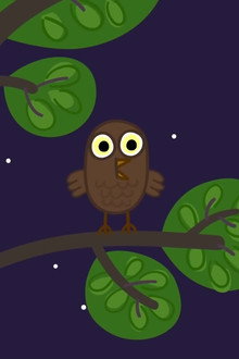 The Owl