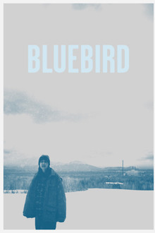 Bluebird poster