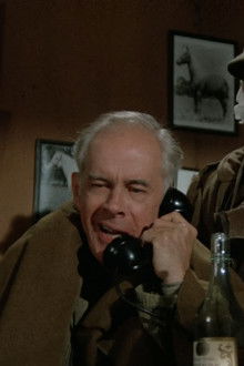 It Happened One Night