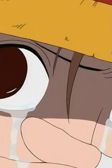 Luffy Rises! Result of the Broken Promise!