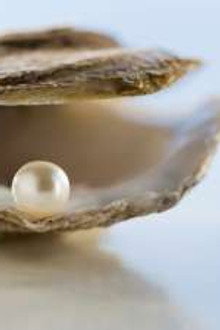 Freshwater Pearls, Knives, Hippo Roller