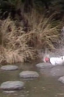 Sexual Pioneers vs. The World of Violent Films