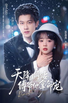 天降小孕妻，傅爷他拿命宠 poster