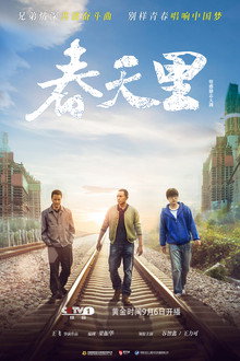 In The Spring poster