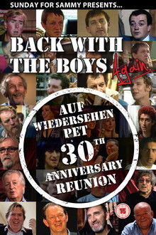 Back with the Boys Again poster