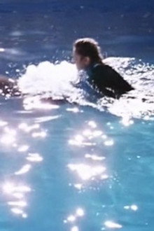 A Dolphin Song For Lee (2)