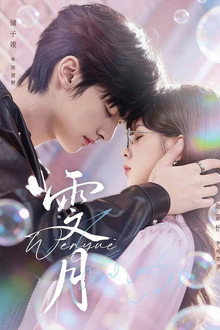 雯月 (月沉望野) poster