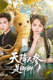 天降人参是卿卿 poster