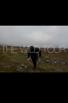 The Wild Tour poster