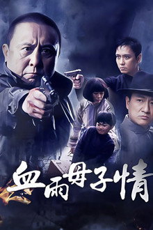血雨母子情 poster