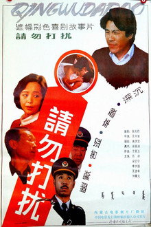 请勿打扰 poster