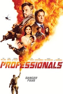 Imagem Professionals