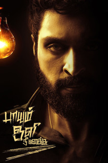 Paayum Oli Nee Yenakku poster