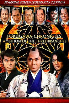 Tokugawa Chronicles: Ambition of the 3 Branches poster