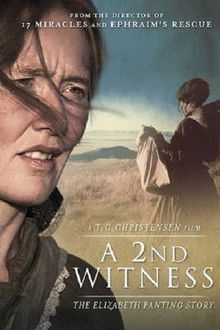 A 2nd Witness poster