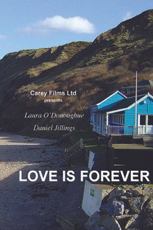 Love Is Forever poster