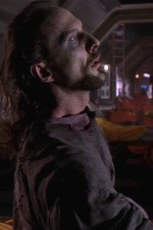 Dance of the Mayflies