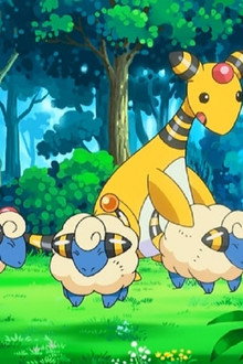 The Light of Floccesy Ranch!