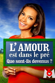 L'amour est dans le pré : que sont-ils devenus ? poster