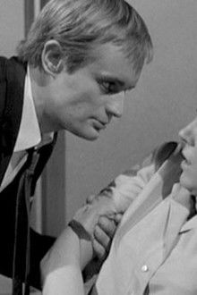 The Mad, Mad, Tea Party Affair