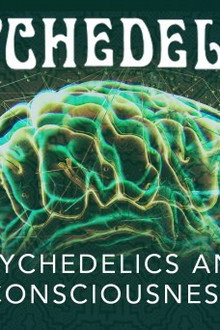 Psychedelics and Consciousness