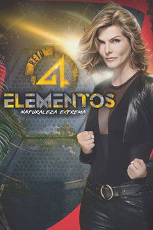 Reto 4 Elementos poster
