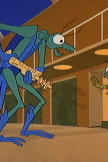 Zorak